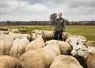 Mathieu Labergerie et son troupeau de brebis de race Texel