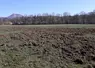 dégâts de sangliers dans une prairie du Puy-de-Dôme