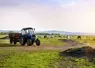 Tracteur et vaches
