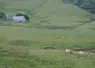 Les pâtures individuelles situées à plus de 25 km du siège d'exploitation sont soumises à déclaration obligatoire. 