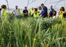 Limagrain compte plusieurs centres de recherche en Europe et dans le monde mais aussi en Auvergne, près de Clermont-Ferrand.  photo d'archive