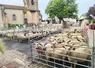 vue d'ensemble foire ovine Louroux-Hodement 2026