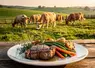Les Rencontres à tables arrivent en Haute-Loire. Les Ja et la FDSEA vous proposent deux rendez-vous estivaux : les dimanches 28 juin et 26 juillet.