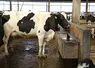 Attention, une eau limpide n’est pas forcément une eau de bonne qualité.