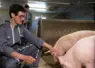 Christophe Delmond avec ses porcs