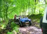 Des 4x4 dans la forêt.