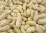 pommes de terre en vrac