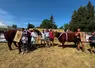 Les champions Miss et Mister et leurs éleveurs, fiers de remporter le 1er prix 2026