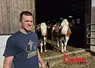 Un homme à gauche avec deux vaches en arrière-plan.