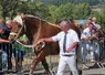 La championne des 2 ans en numéros pairs de Pascal Boncompain
