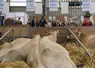 Depuis trois ans, les effectifs des établissements d'enseignement agricole progressent de 1%/an.