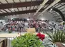 48e vente aux enchères Alsoni