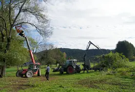 taillage de haies interdiction agriculteurs