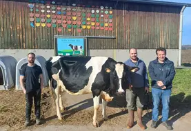 Les éleveurs et Vincent Brunel, conseiller en élevage et animateur de l'association Haute-Loire Holstein, avec Nounou d'Amblard. 