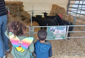 Enfants devant mini-ferme 