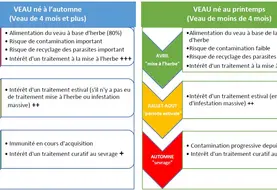 Trois possibilités de traitement peuvent être mises en place : préventif, préventif-curatif ou curatif. Plusieurs critères vont permettre de choisir sa stratégie mais le principal reste la période de naissance des veaux. Dans tous les cas, un examen clinique régulier des animaux permet d’évaluer voire de corriger le protocole de traitement initialement prévu en intégrant la notion de mise en place de l’immunité pour les futurs reproducteurs.