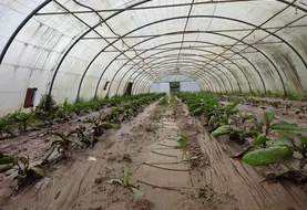 innondation sous une serre