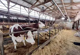 Un bâtiment propre, bien ventilé et sec limite la prolifération des agents pathogènes et/ou des vecteurs des pathogènes.