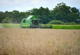 Les moissons battent leur plein en Auvergne avec 10 jours d'avance, en réponse à l'épisode caniculaire de juin qui a accéléré la maturation des céréales. 