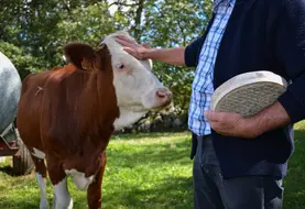 La reconnaissance du fromage a permis de le sauver de l'usurpation et des copies néfastes à sa notoriété. 