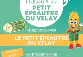 Affiche fête