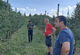 dégats dans les vergers