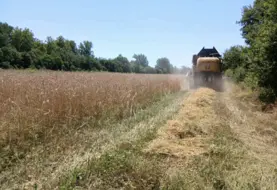 machine agricole dans champs