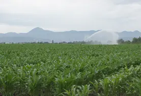 irrigation face aux volcans du puy de dôme