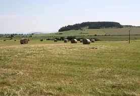 Paysage agricole
