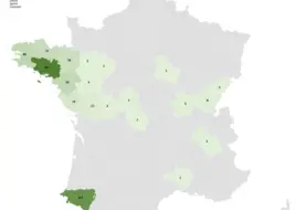 Comme la MHE, la FCO 3 et la FCO 8, transmises par des moucherons (Culicoïdes), continuent de circuler sur le territoire.