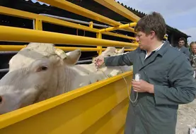 Le ministère de l'Agriculture recommande à tous les éleveurs de ruminants de vacciner leurs animaux pour limiter l'expansion de la maladie. 