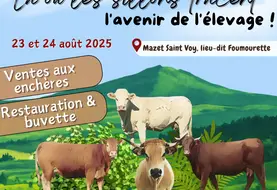 Afficge Journées allaitantes 2025