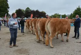 Les juges et le public ont pu apprécié la grande qualité des animaux présentés.
