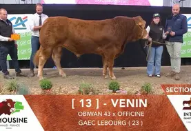 Venin, au Gaec Lebourg.
