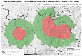 Nouvelle zone réglementée après la découverte d'un foyer de DNC dans le Rhône.