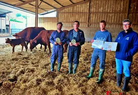 trois éleveurs et un technicien tiennent des trophées aux côtés de vaches et veaux salers
