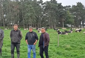 Romain, Laurent, Philippe Merle et Antoine Moulin, les 4 associés du Gaec de la Petite Croix à St Maurice de Lignon misent sur la génétique de leur troupeau mais aussi l'alimentation en commençant par l'optimisation des fourrages. 
