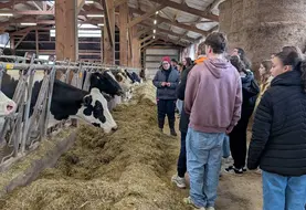 Les collégiens ont découvert des élevages laitiers mais aussi des laiteries.