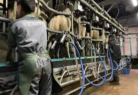 (photo d'illustration)