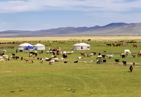 La Mongolie est à l'initiative de l'Année Internationale des Parcours et du Pastoralisme (AIPP) 2026.
