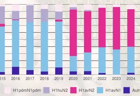 La possibilité de franchissement de barrière d’espèces pouvant conduire à une nouvelle pandémie est un risque majeur. Elle peut se faire directement à partir des oiseaux, mais plus probablement en passant par une autre espèce comme le porc. Les virus y sont donc régulièrement surveillés dans le cadre du réseau national de surveillance des virus influenza chez le porc (Résavip). On retrouve à la fois des virus d’origine humaine ou aviaire. Les éleveurs de volailles et de suidés sont ég...
