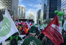 Manifestants portant les drapeaux de la FNSEA et des Jeunes Agriculteurs devant les institutions européennes à Bruxelles, lors de la mobilisation contre le Mercosur le 18 décembre 2025.