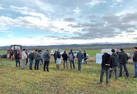 Une trentaine d'agriculteurs sont venus s'informer sur les bénéfices des couverts végétaux.