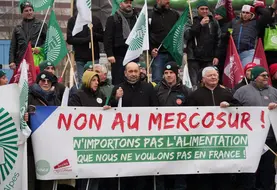 Plusieurs délégations départementales se sont déplacées jusqu'à Strasbourg pour défendre la production agricole. 