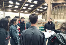 Au cours de cette journée de sensibilisation du 5 février 2026 à l’EPLEFPA d’Ahun, la mise en pratique de la biosécurité en élevage a été présentée aux apprenants du CFPPA et aux classes de seconde à terminale, avec la participation des élèves du CS Bovin viande et du BTS ACS-Agri. Elle s’est appuyée sur les mesures déjà mises en Suvre sur l’exploitation dans ses 4 ateliers.