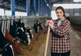 Woman cleaning up at the cowshed