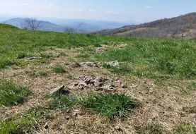 Le bale grazing est un pâturage hivernal dont les résidus de foin vont servir à réensemencer la prairie et les bouses la fertiliser. 