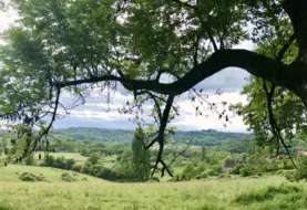 paysage corrézien avec haies