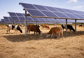 Un projet agrivoltaïque doit impérativement s’inscrire dans une démarche agricole réelle, avec un objectif de production maintenu et renforcé.