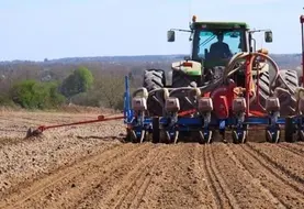 Pour assurer une levée homogène et vigoureuse du maïs, la profondeur de semis joue un rôle déterminant.